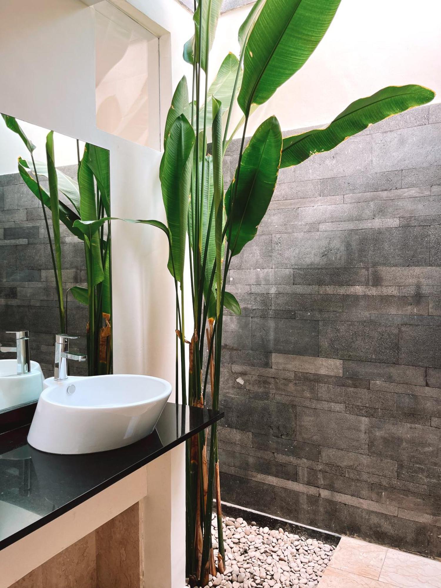 Aster Villa Seminyak ภายนอก รูปภาพ